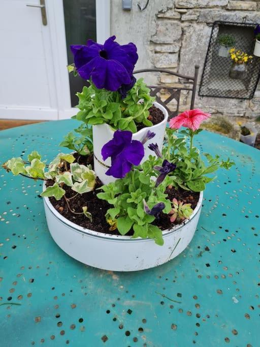 Appartement De La Laiterie Avec Petit Jardin. Eysus Luaran gambar
