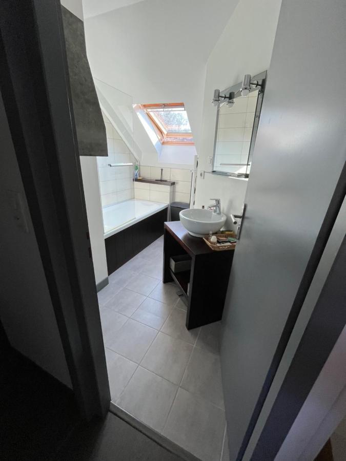Appartement De La Laiterie Avec Petit Jardin. Eysus Luaran gambar